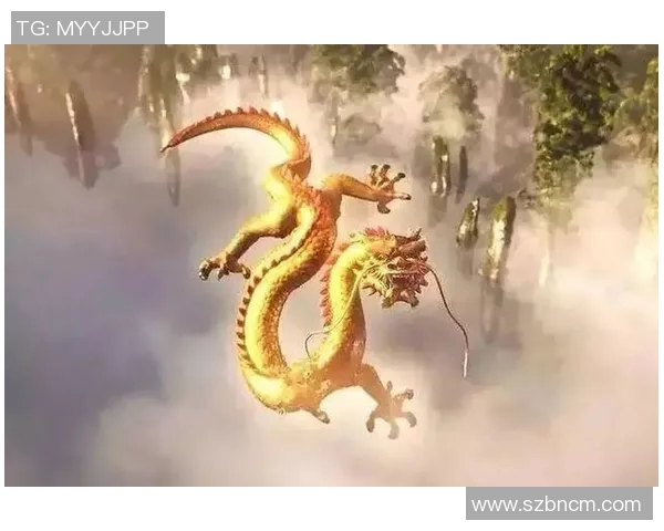 伊布传奇再续天下足球的辉煌时刻与不屈精神的完美结合